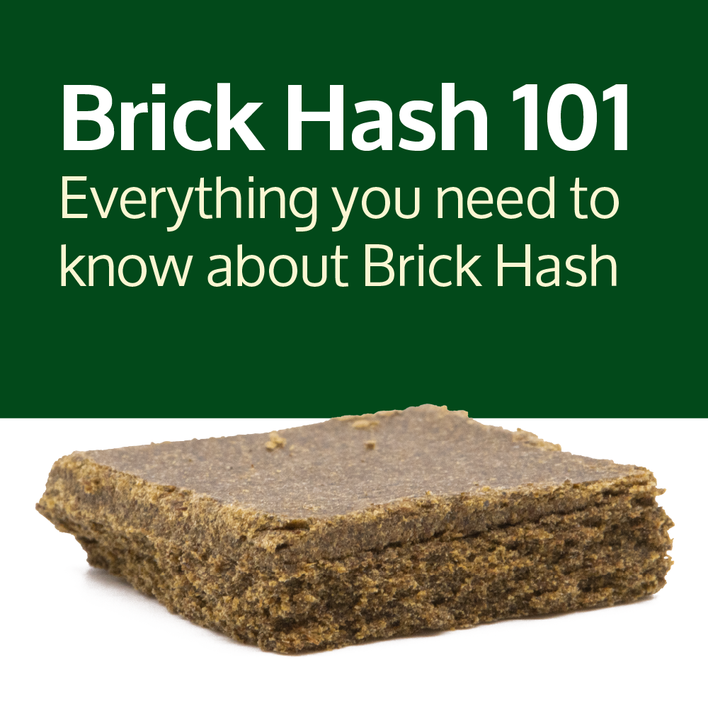 Patient Resources  Brick Hash 101 - Everything you need to know